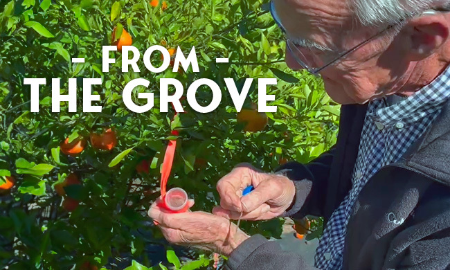 UncleMatts's tweet image. At Uncle Matt’s Organic, we know that good juice starts with great farmers. Their dedication to soil health, sustainability, and organic practices is the reason our juices taste as good as they do.

Today, we’re celebrating every grower, picker, and producer who makes clean,…