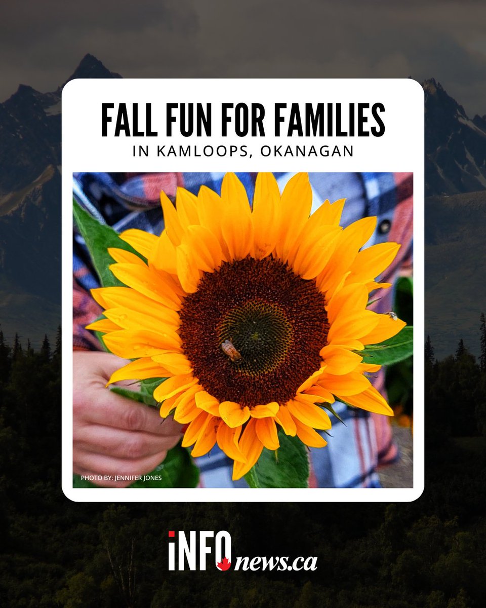 infonewskelowna's tweet image. Autumn has arrived with its cooler temperatures and all its changing colours in Kamloops and the Okanagan.

Red the full story: infonews.ca/news/7364366/i…

#localevents #okanagan