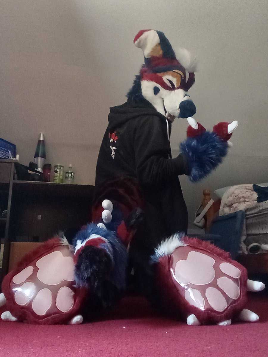 Paws~? 🐾🩵