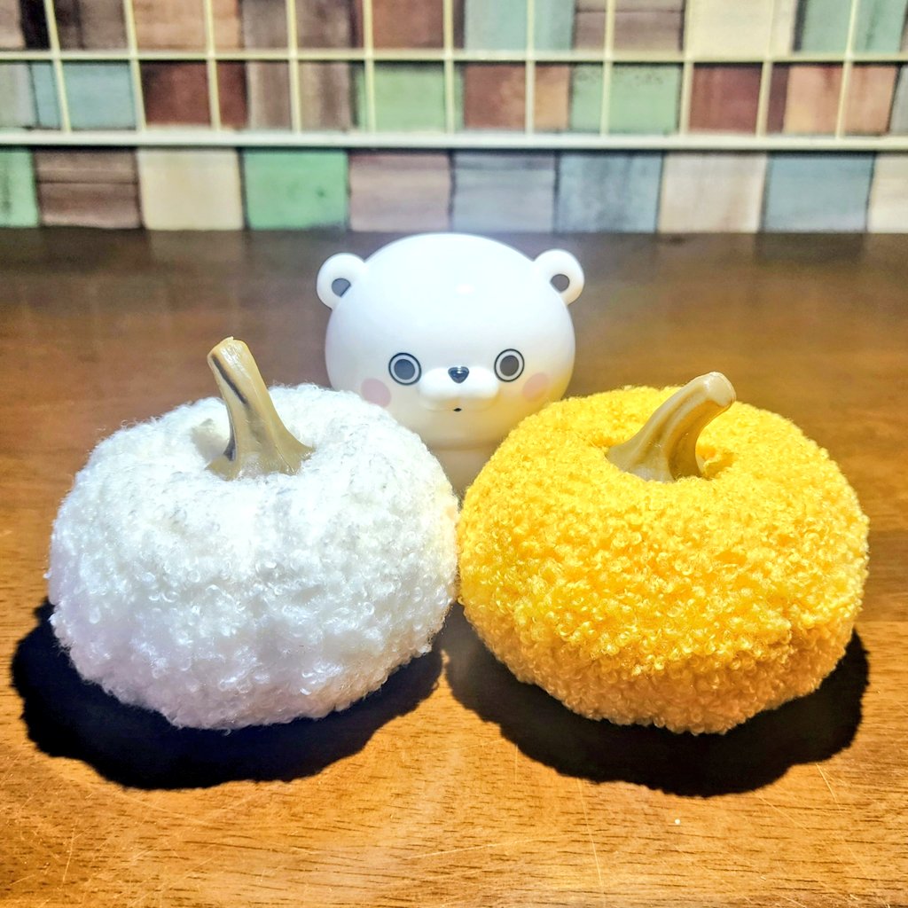 今年も
カボチャ🎃仲間
増やしちゃった。