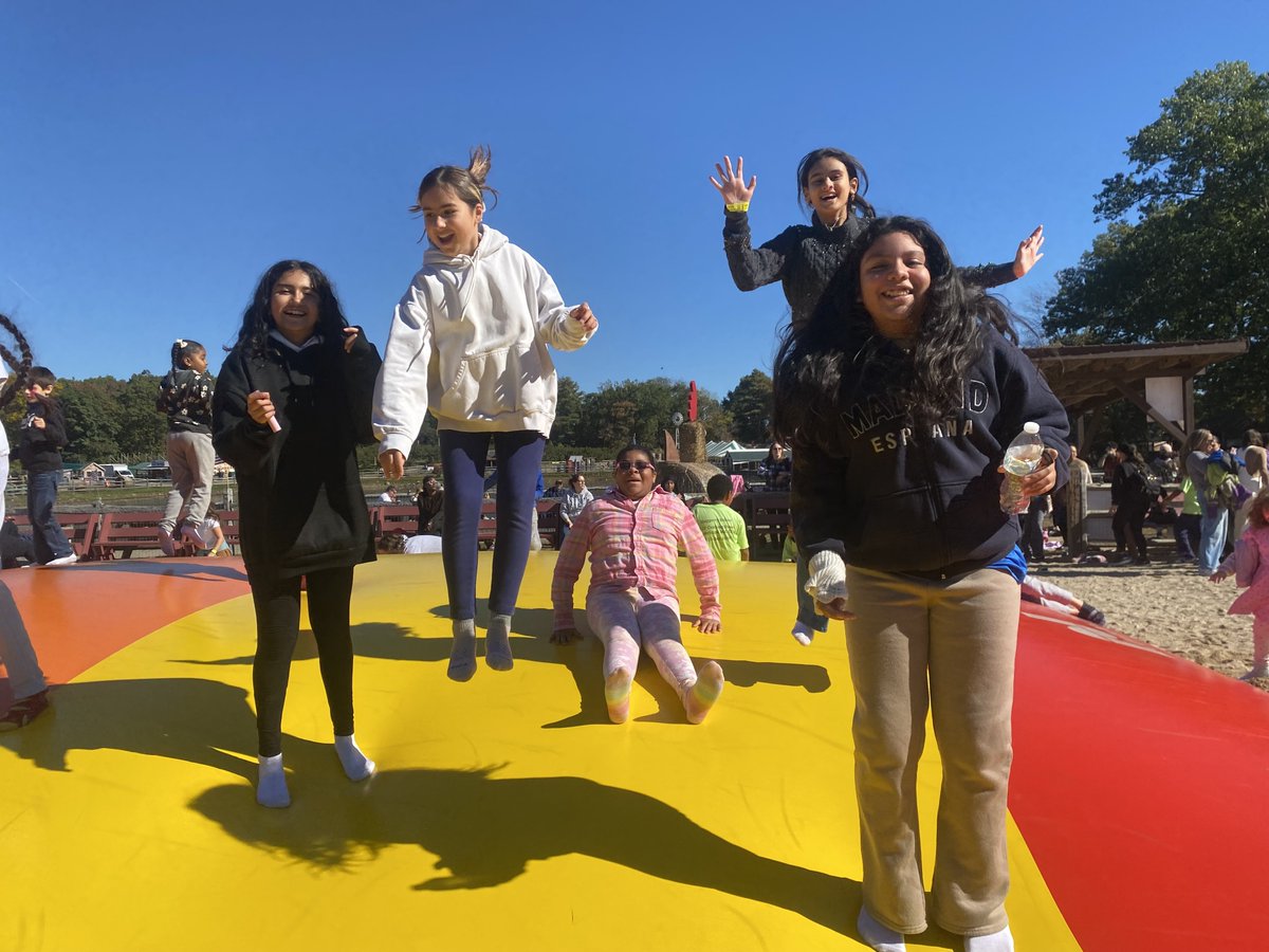 Bradley Banner - October 12, 2025 🤎 - mailchi.mp/97aa8cb82cda/b…