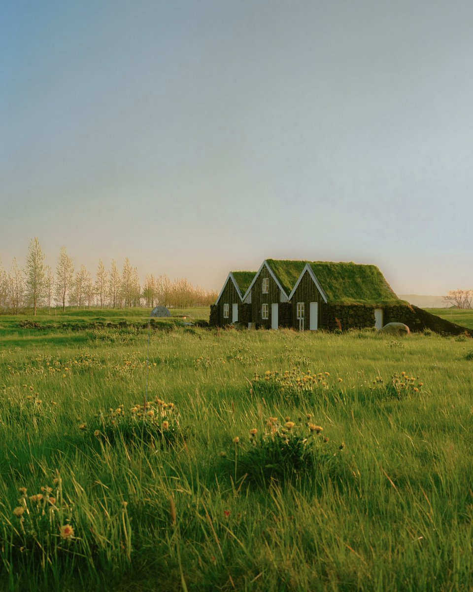 AlexKittoe's tweet photo. Iceland on 120 film 🎞️ https://t.co/HdCwSMeKEg