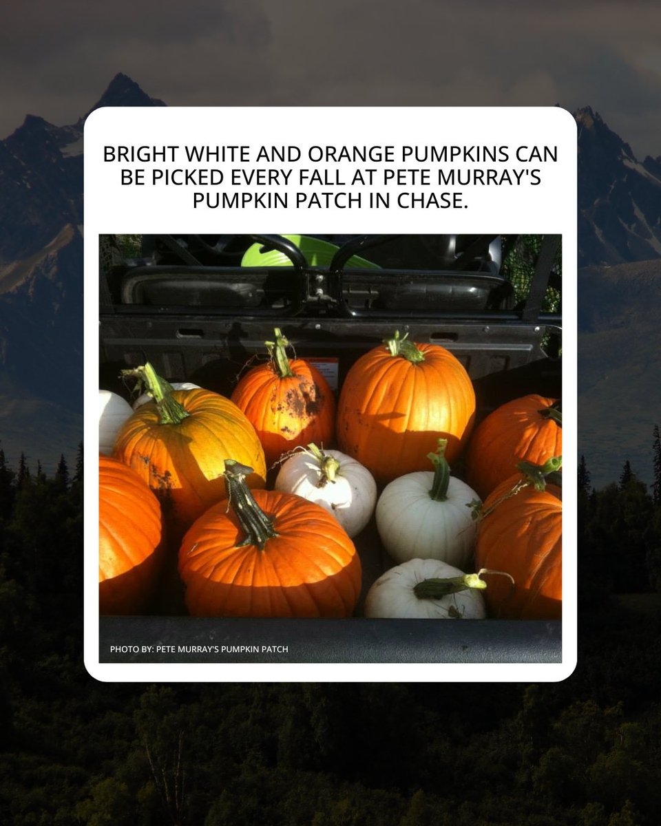 infonewskelowna's tweet image. Autumn has arrived with its cooler temperatures and all its changing colours in Kamloops and the Okanagan.

Red the full story: infonews.ca/news/7364366/i…

#localevents #okanagan