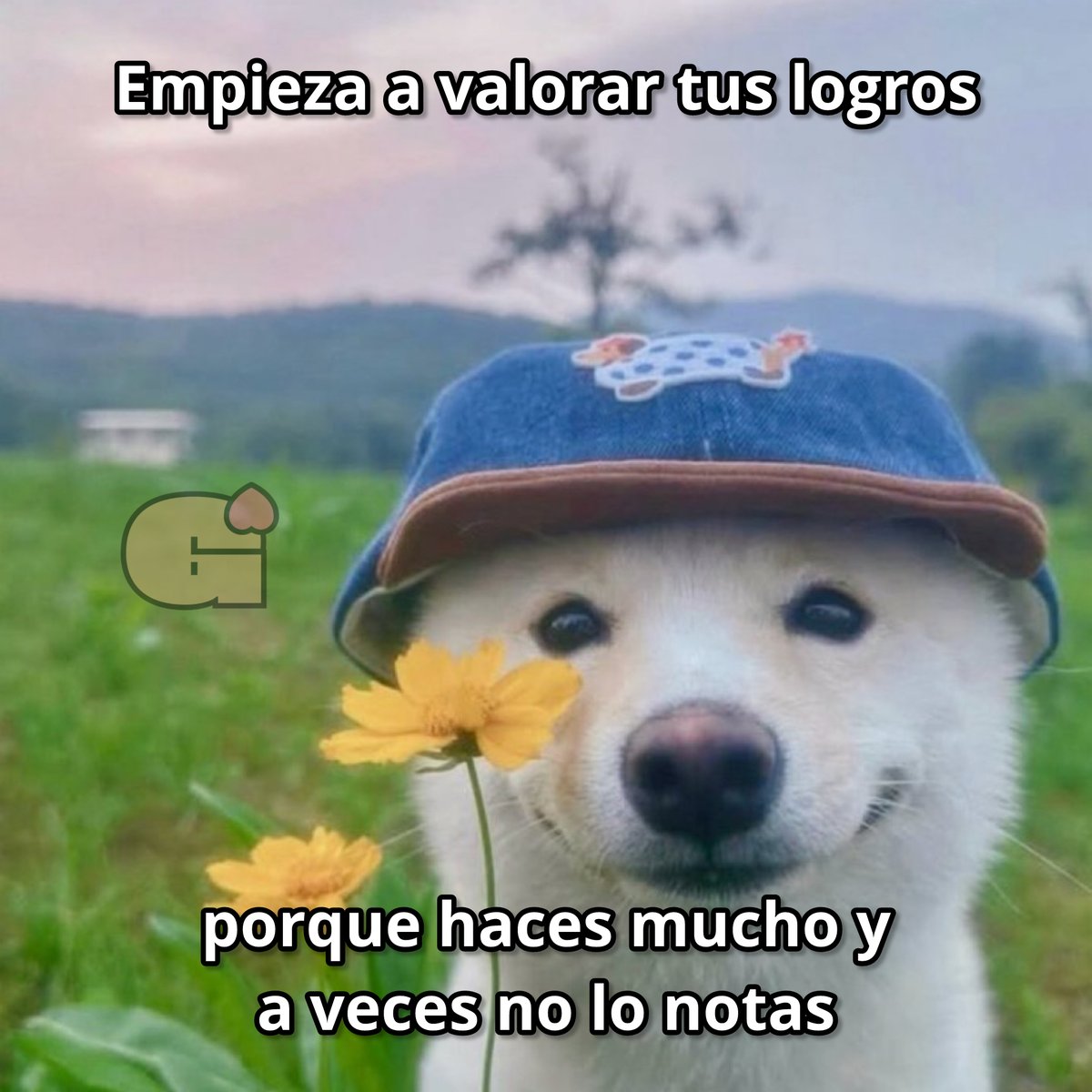 Guarromantico_'s tweet photo. TQM. https://t.co/yU7nd93IqO