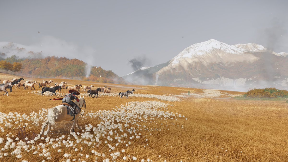 liftplaycode's tweet image. beauty of ghost of yotei