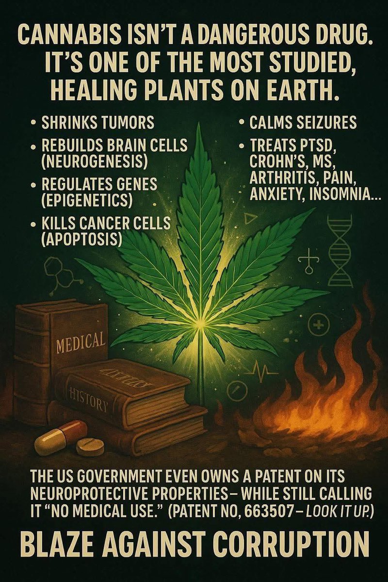 daviddinenberg's tweet image. This is what we know now. Imagine what we will learn when we can really research this amazing plant!! #Cannabis #LegalizeIt #CannabisCommunity #Mmemberville