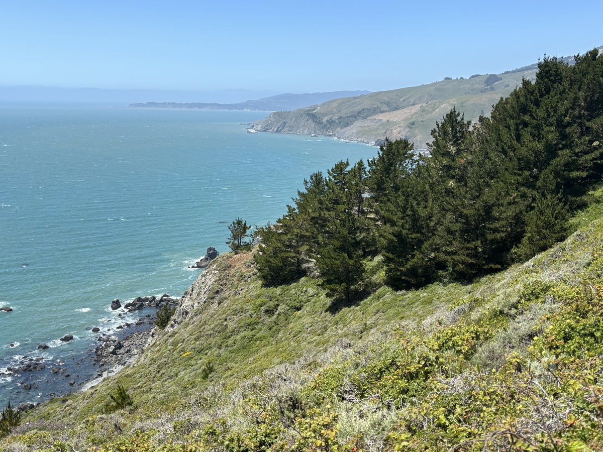 vanillians's tweet photo. today i walked around california ⛅️⛅️ https://t.co/VssETc1uMN