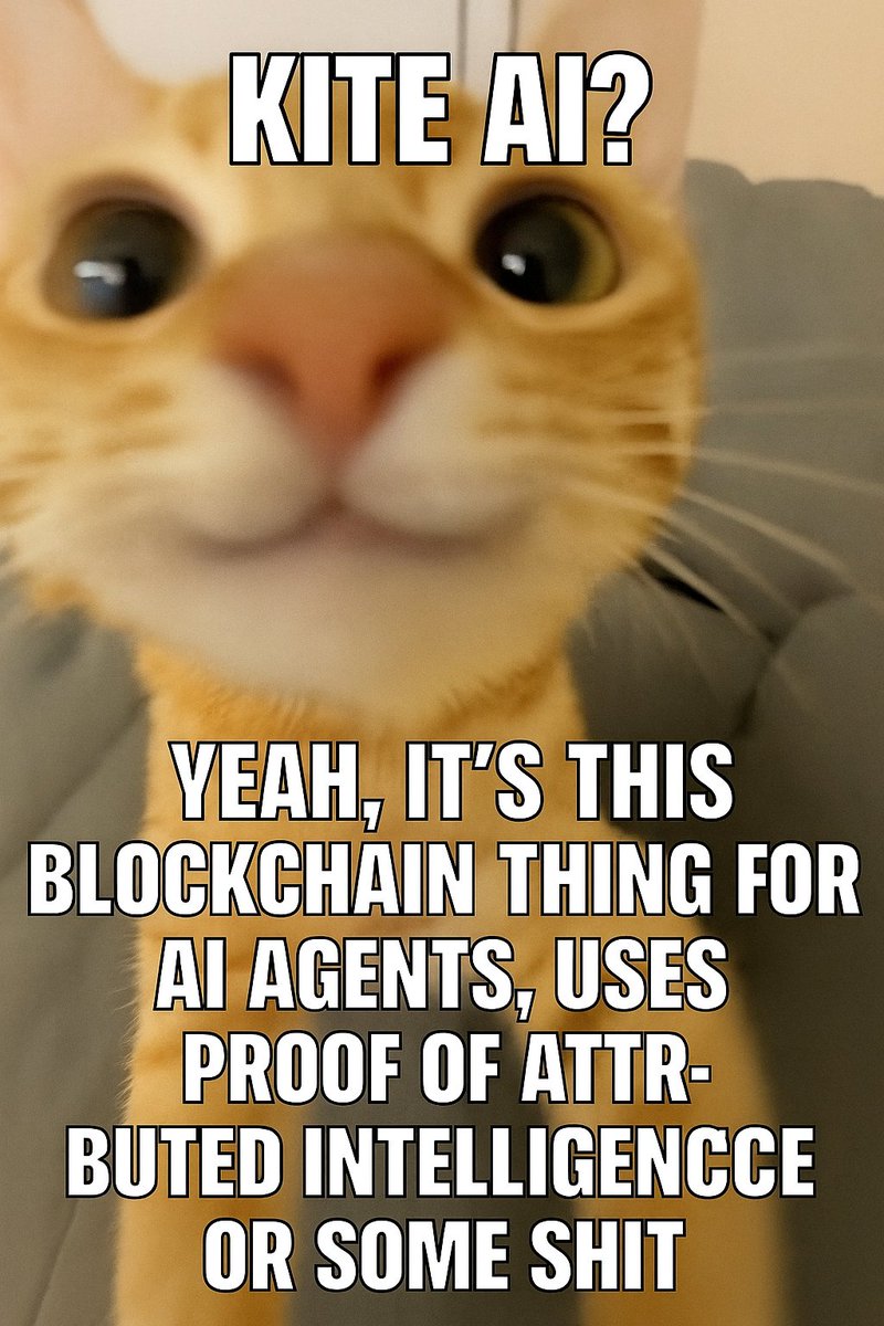 bitzenog's tweet photo. When your brain’s trying to explain @KiteAI_Official but ends up meowing about blockchain instead🐱
#KiteAI #meme #community https://t.co/IyIbeRx4XG