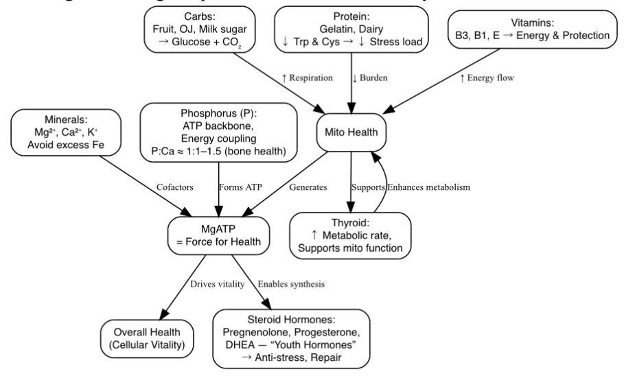 aihtheory's tweet image. V2.0 @la_ledda