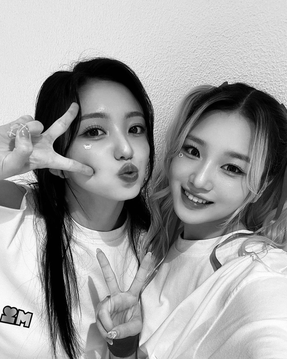 The Seven Pact tweet media