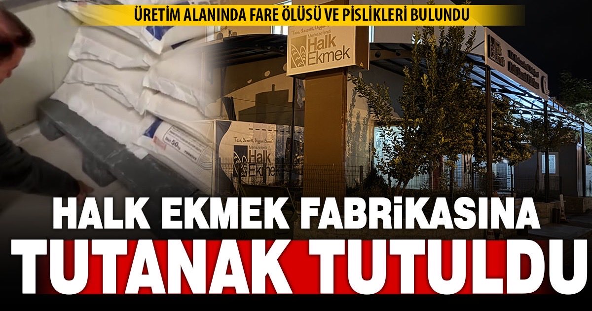 CHP’li Merkezefendi Belediye Başkanı <a href="/SenizDogan20/">Şeniz Doğan</a> ın yönetimindeki Halk Ekmek fabrikasında bugün ortaya çıkan fare ölüleri ve pislik görüntüleri, belediyecilikteki çürümüşlüğün, vurdumduymazlığın ve ihmalin en somut halidir.

Vatandaşın sofrasına “halk ekmeği” diye sunulan