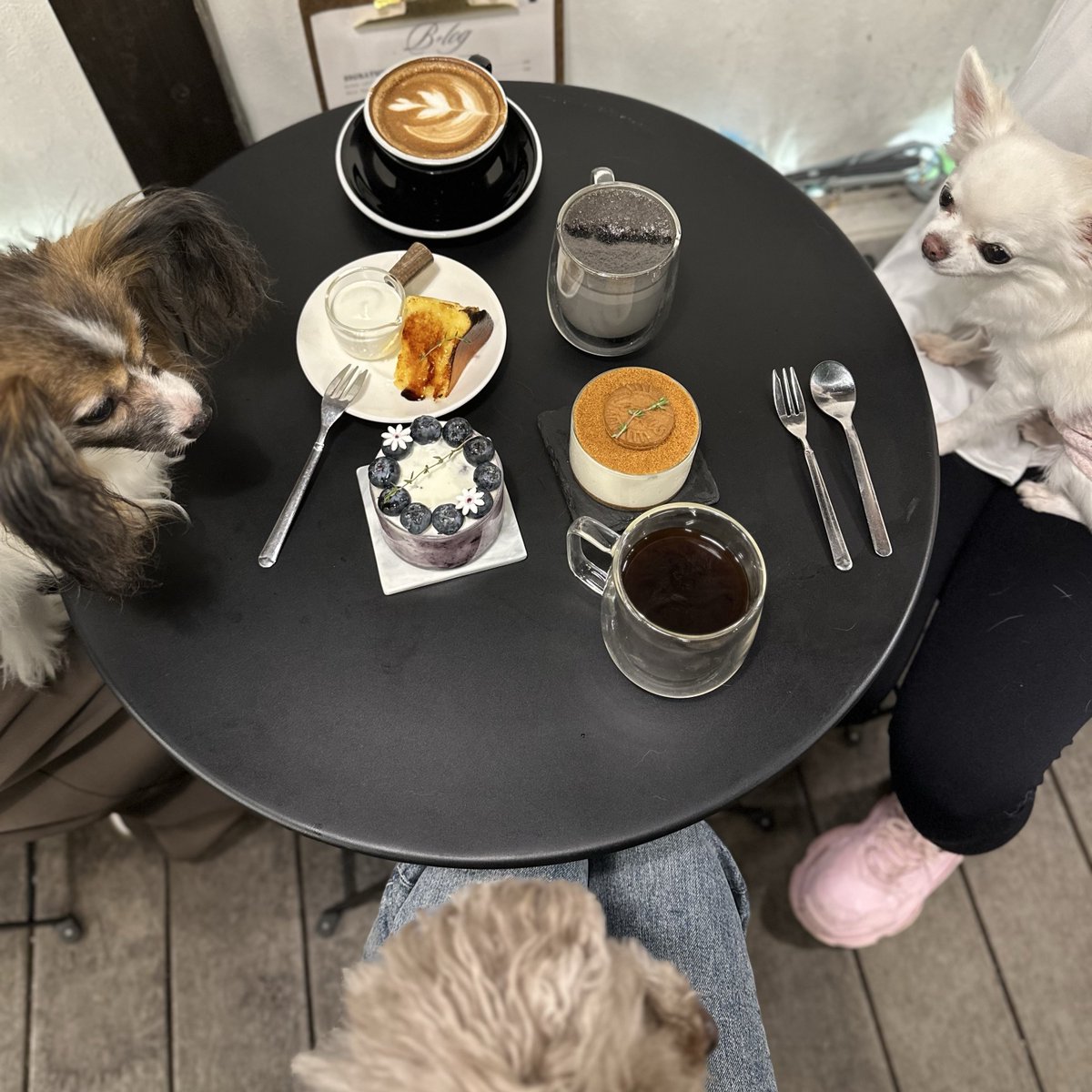 MTG中☕️