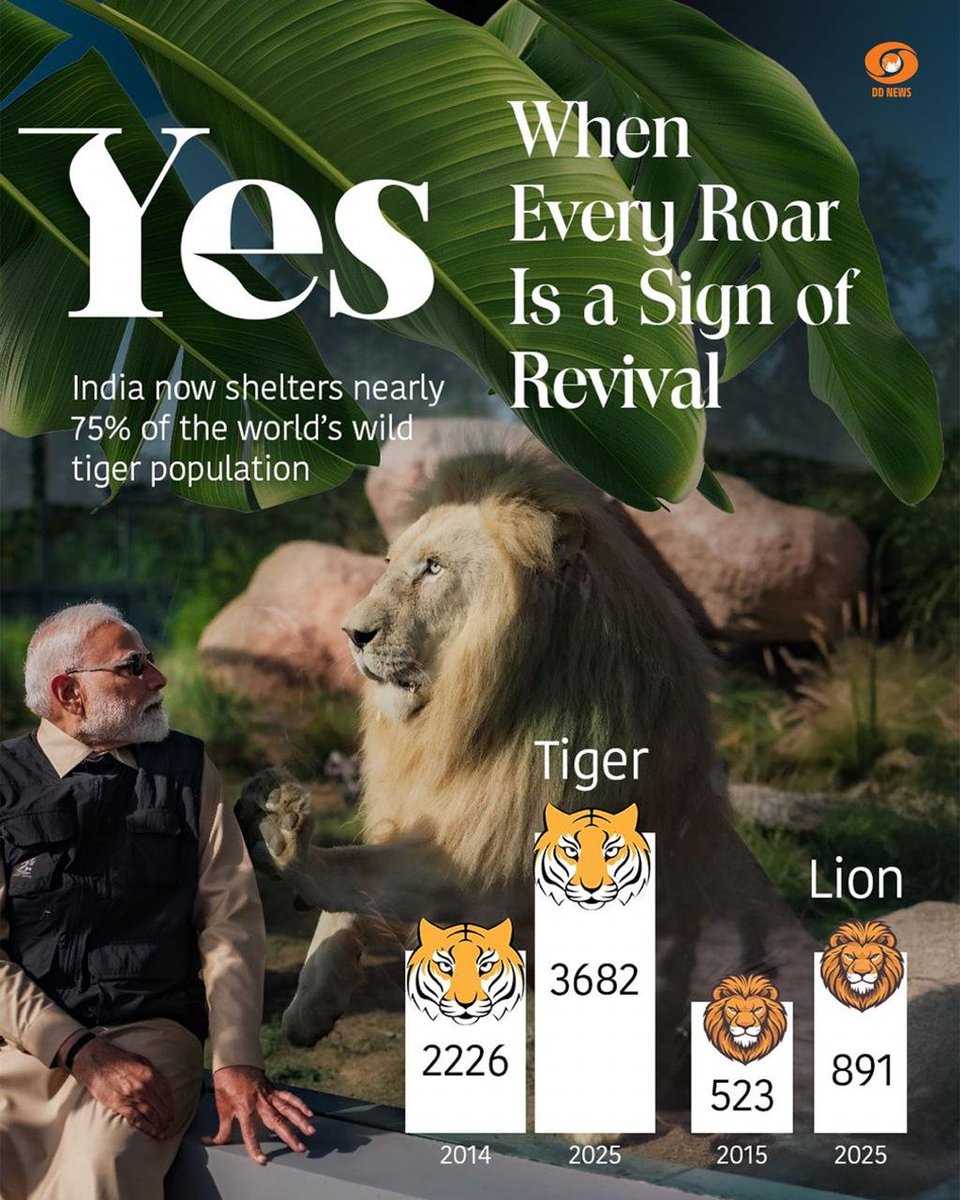 India now shelters nearly 75% of the world’s wild tiger population, marking a remarkable conservation achievement and revival of these majestic creatures’ habitats. 

As of 2025, the country is home to 3,682 tigers, up from 2,226 in 2014, reflecting a robust growth due to
