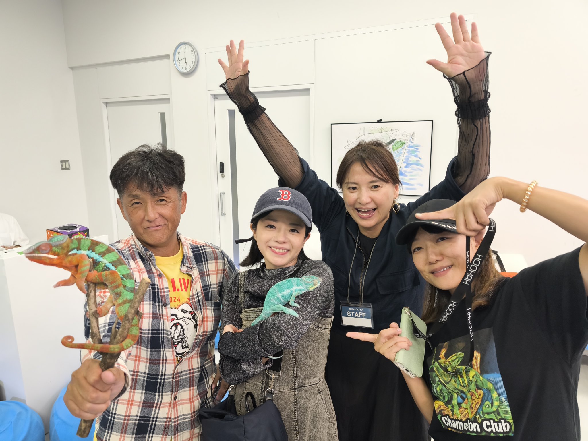 ヨッシー - Search / X