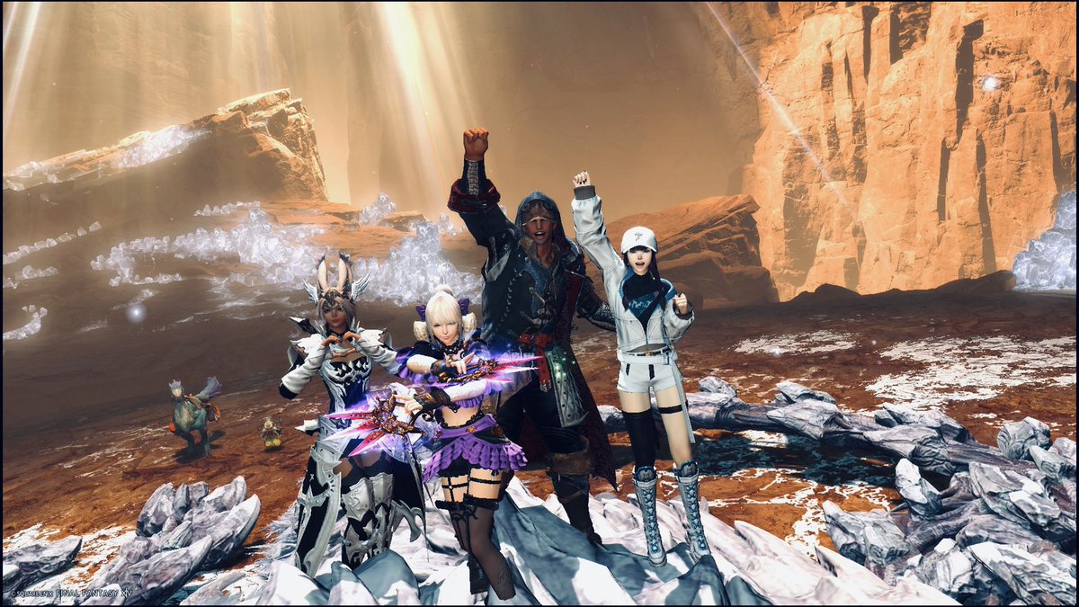 最後に初アシュベルト🌟
一緒になった野良の方と📷!!