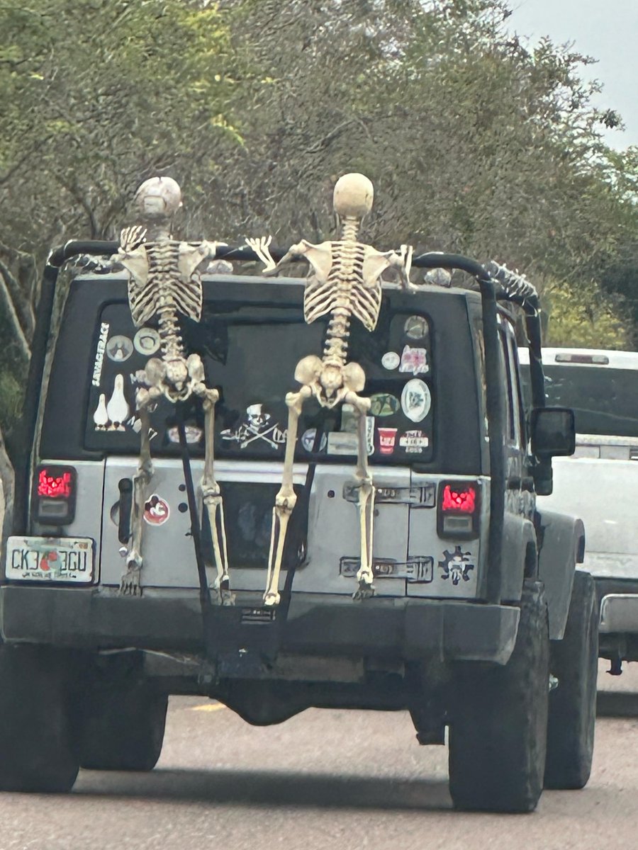 MagnusX84's tweet image. GM to everyone who say GM! 🔥

Some ppl going early on Halloween. 🎃💀