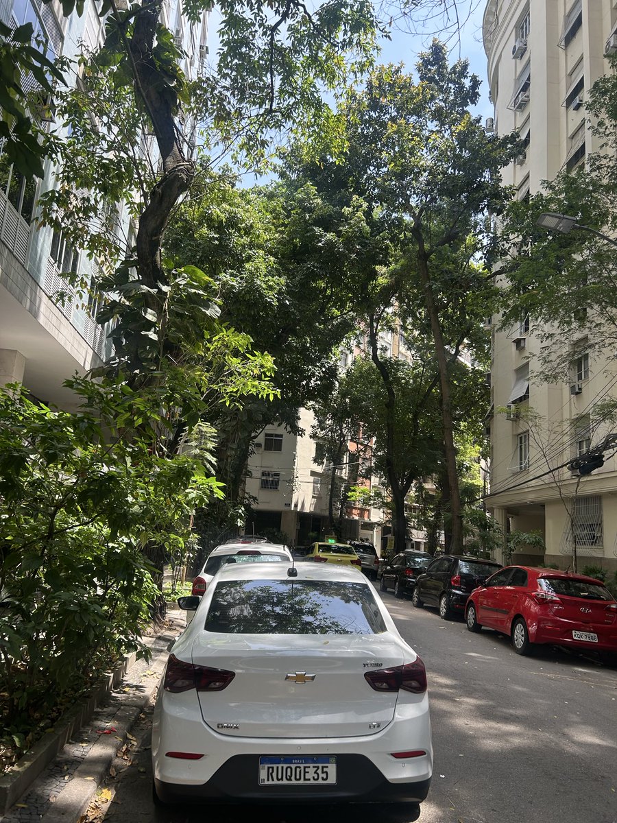 04denovembro23's tweet image. Eduardo Paes precisa ir ao Congresso explicar por que as ruas do Subúrbio não são assim. Estou flanando há 40min na Zona Sul e é como um sopro de vida. A ideia de ter que voltar pras adjacências do CPX de Israel está me atormentando.