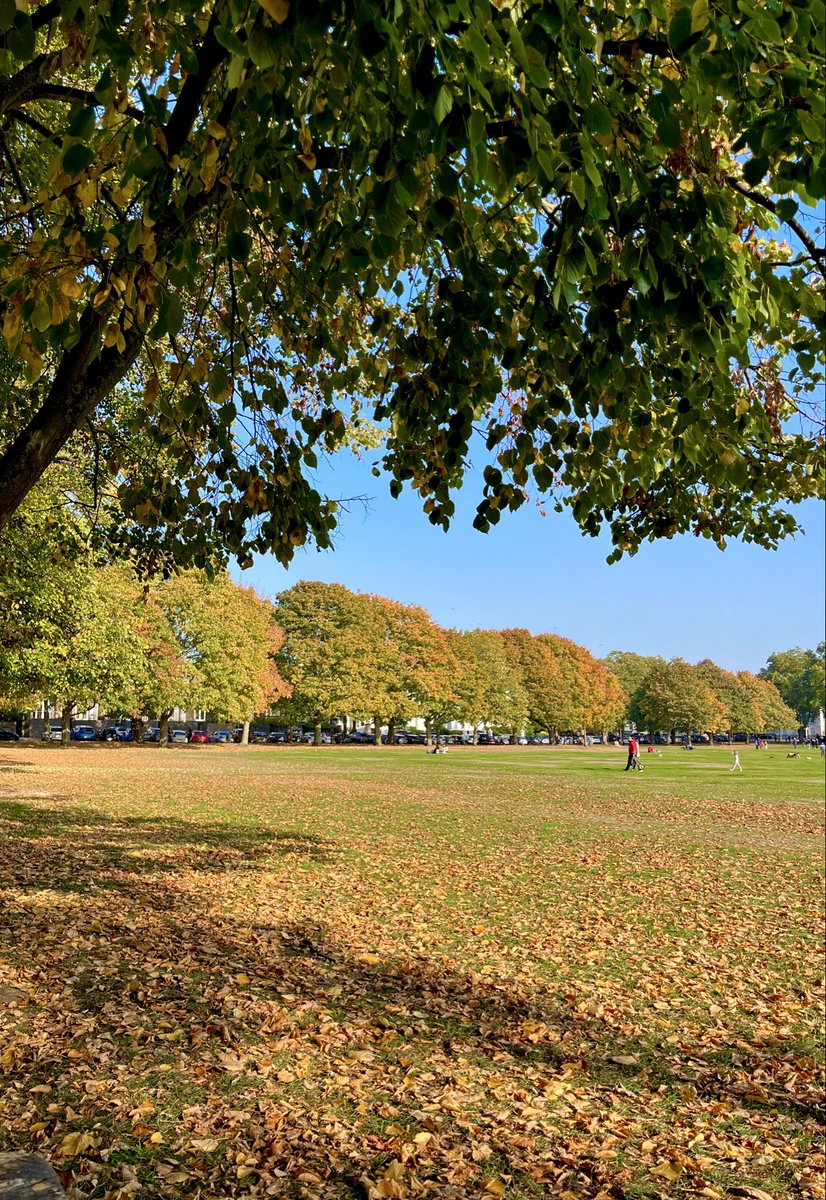 Charlotte Smith tweet media