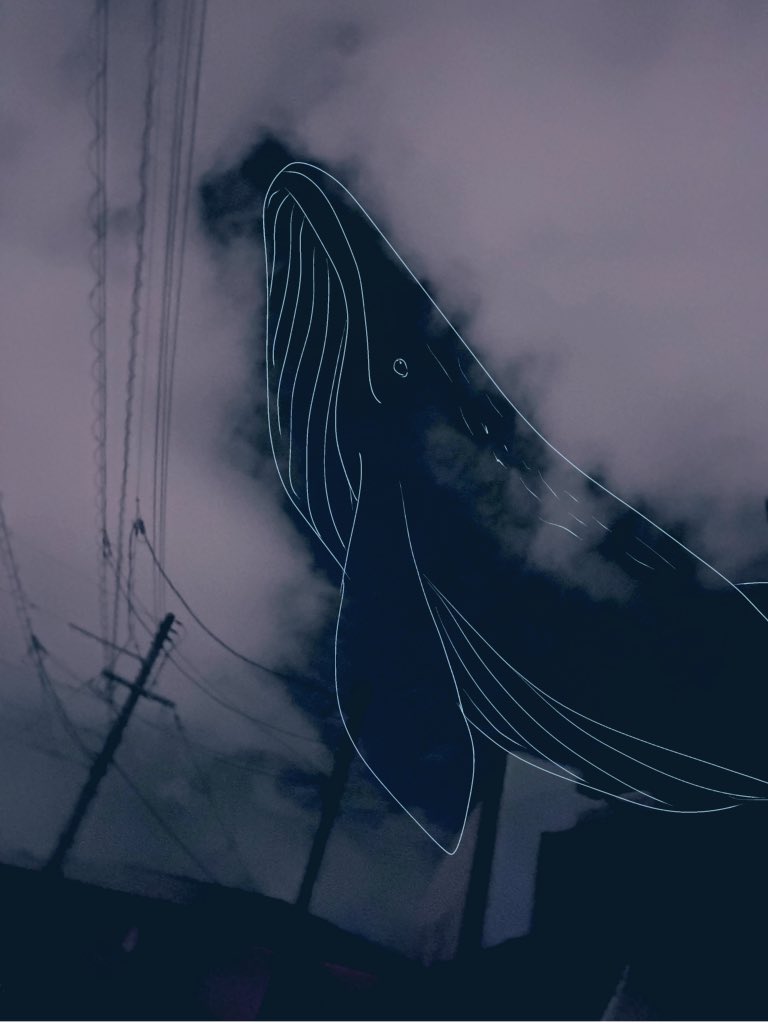 雲がくじらに見えた