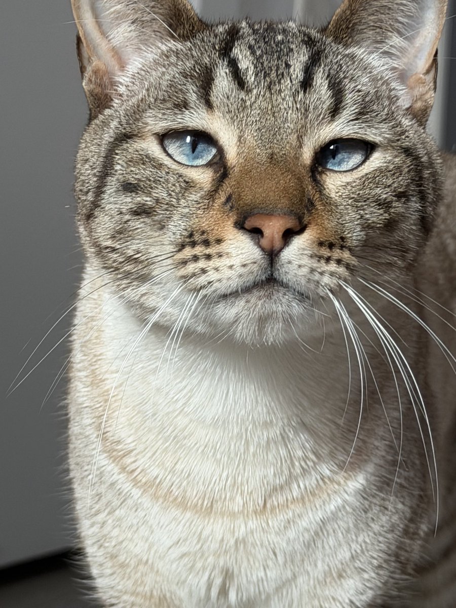 Gaïa et Yuki tweet media