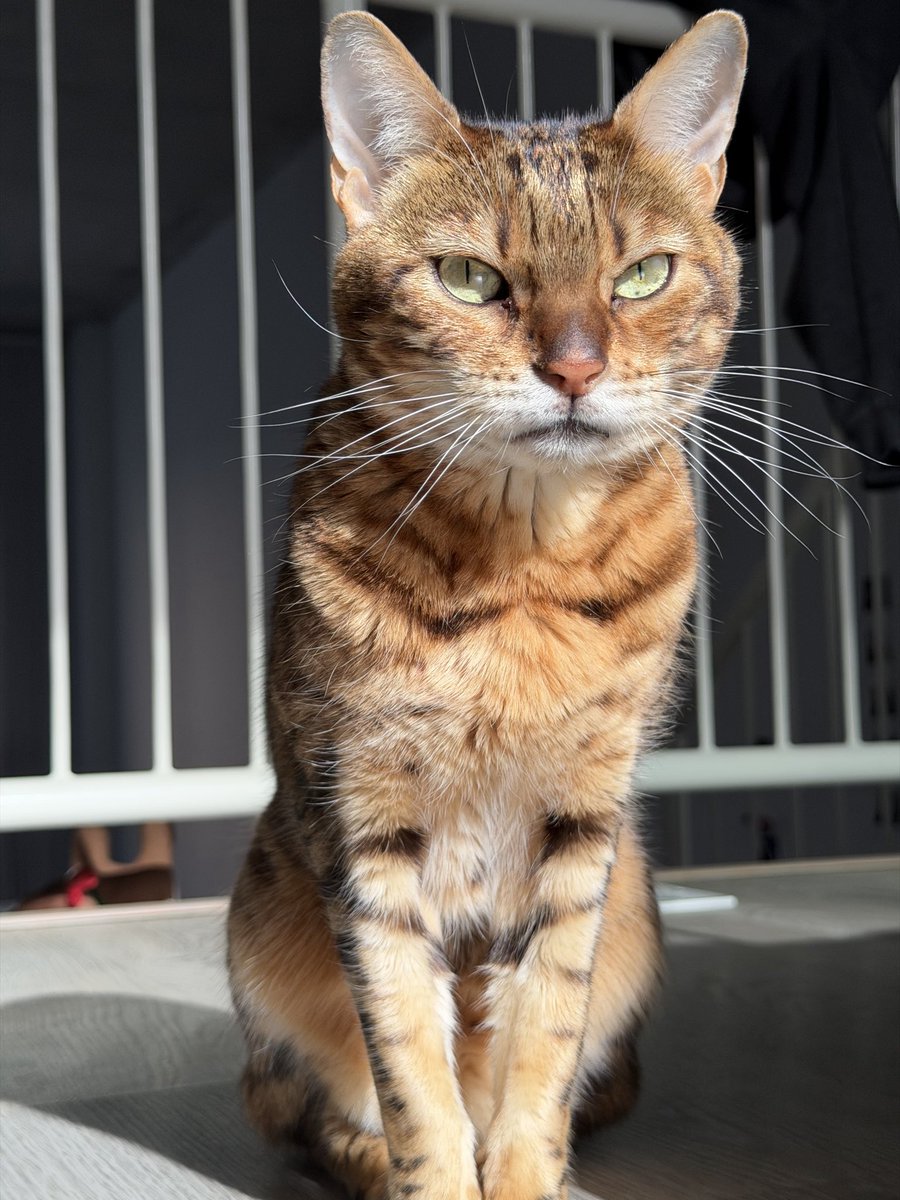 Gaïa et Yuki tweet media