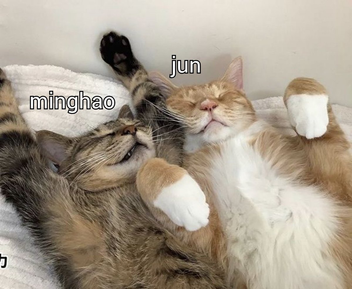 junhao as cats (@catsjunhao) on Twitter photo 