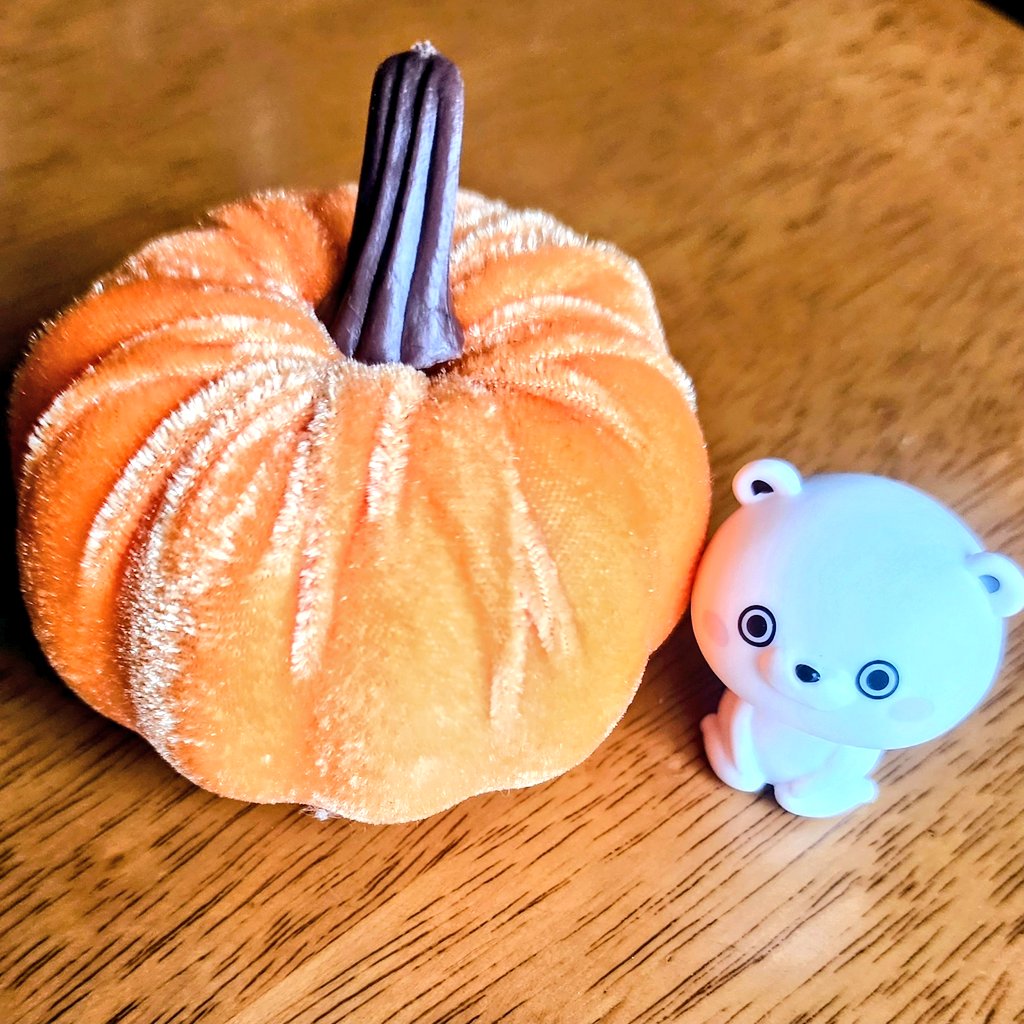 グッズの
高級化により
疲弊し始めたワシ。

だいぶ前から
Мニィはグッズの高級化に
気づいていたらしい。

安価でも
楽しめるように
なりたいねって
話で終わりました。

(画像はどちらも100均です。)