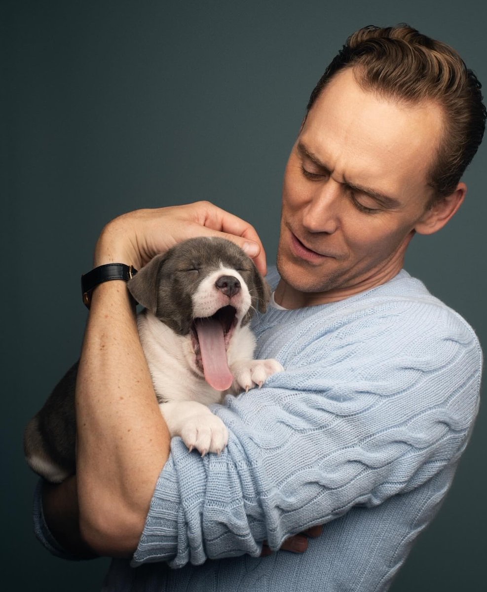 Best of Tom Hiddleston (@bestoftwh) on Twitter photo 