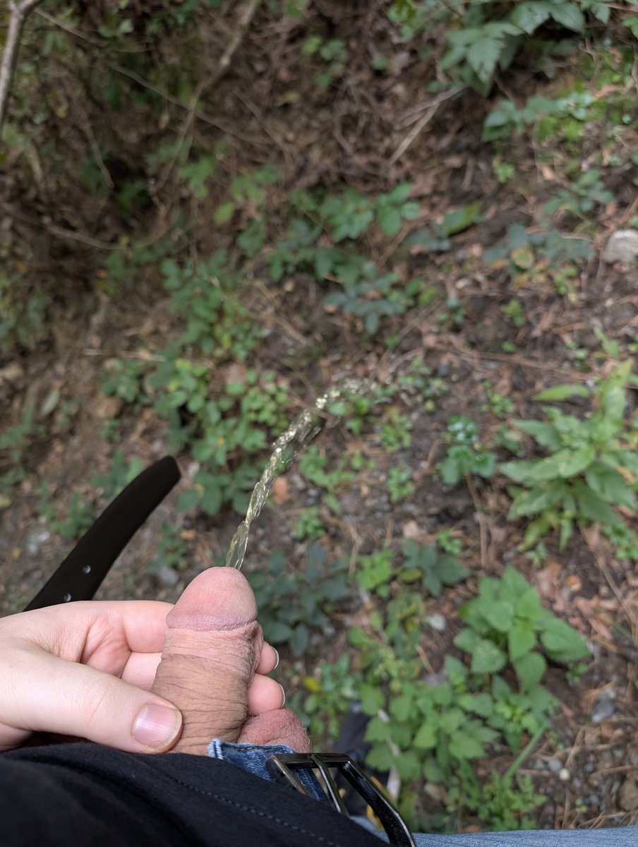 Today's forest pisses 💕