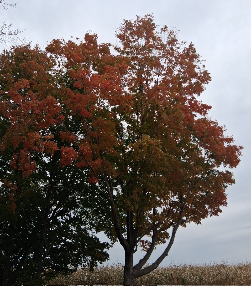 elizabethzander (@eliszander) on Twitter photo 