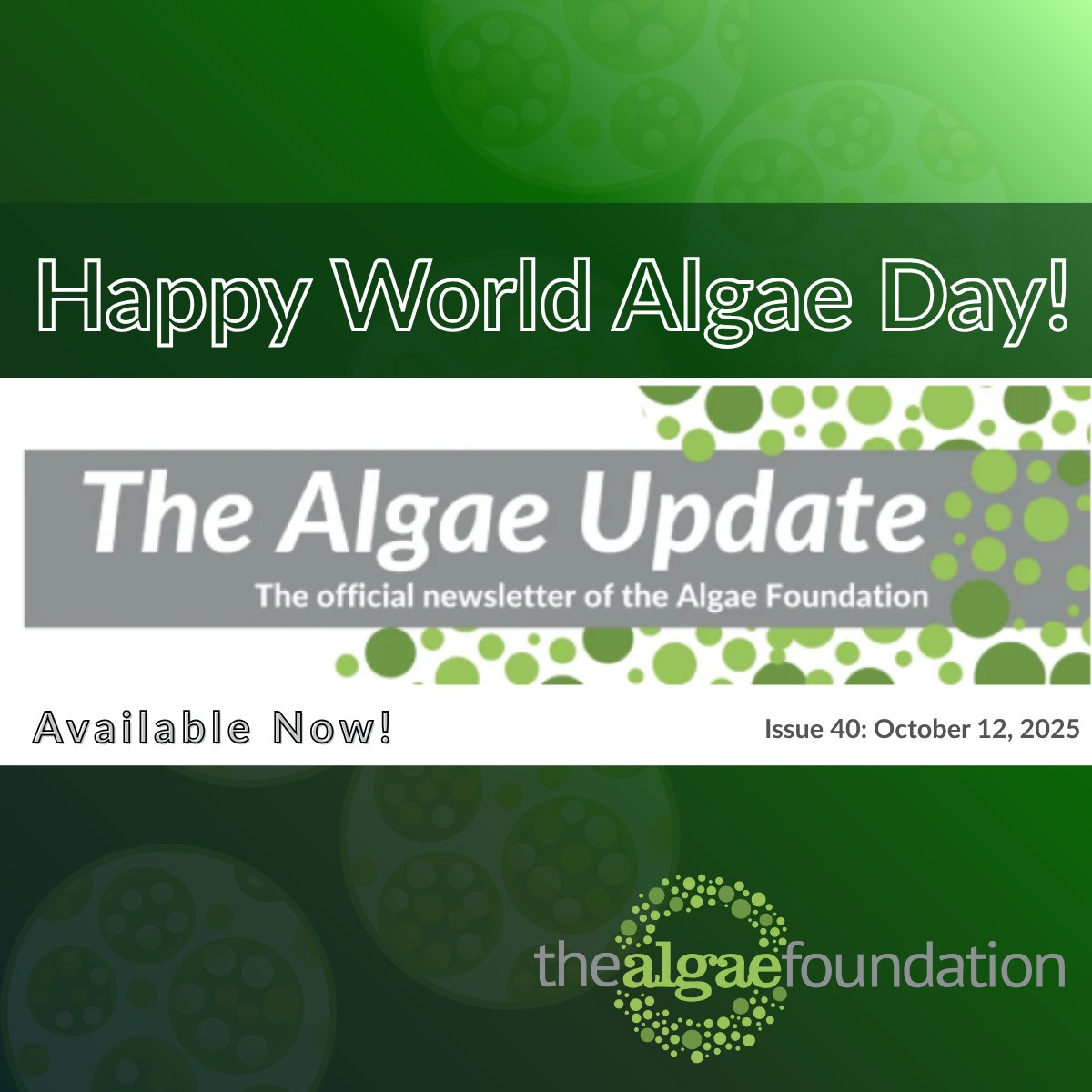 Happy World Algae Day! 🌿 The latest edition of The Algae Update is here, and we’re celebrating the remarkable organisms that sustain life on our planet and inspire innovation: algae! Read it now: hubs.ly/Q03Ncpgb0
