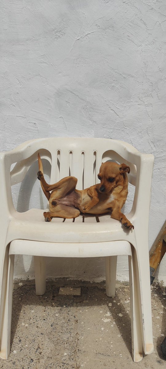 "Dibújame como a una de tus chicas fracesas..."