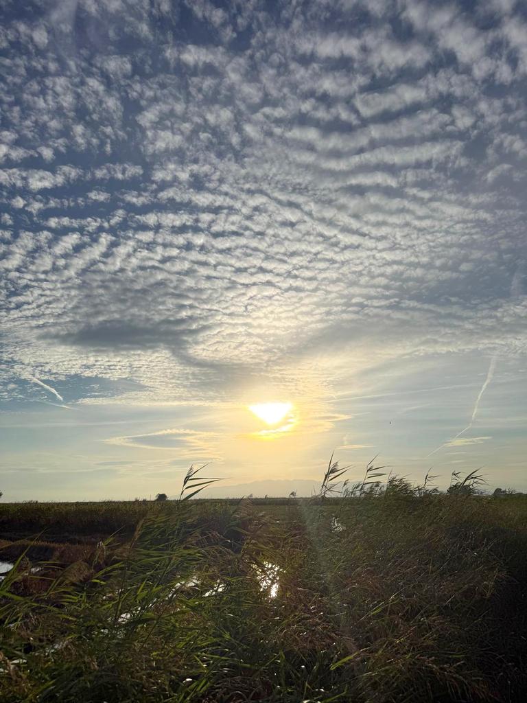 pipapipia's tweet image. The beauty of a sunset.🌞