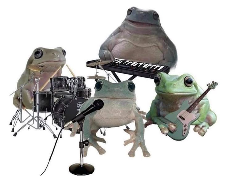 No Context Frogs tweet media