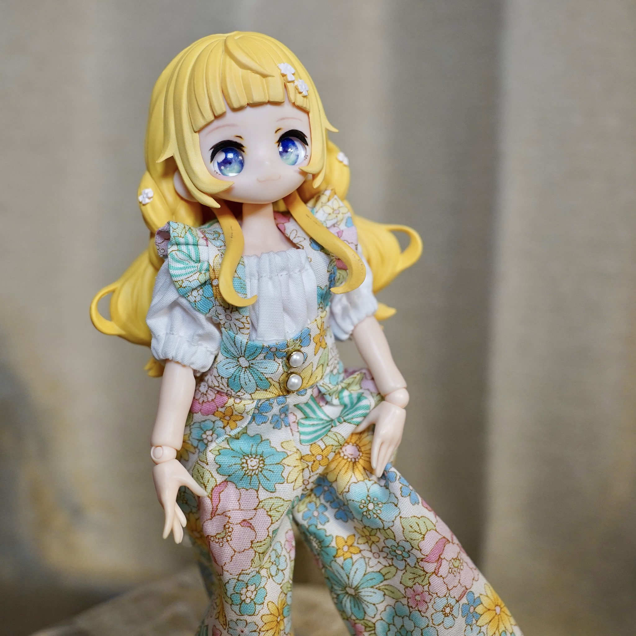 【ミッキー⚠大阪府】貝殻のように丸まる葉が魅力♪コーセーチャメドレア10号 AZONE INTERNATIONAL::えっくす☆きゅーと::商品詳細