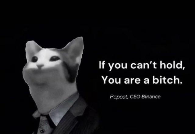정장 차림의 밈 고양이가 '버틸 수 없다면, 넌 겁쟁이야'라고 말하는 Popcat, CEO Binance에 귀속된 이미지