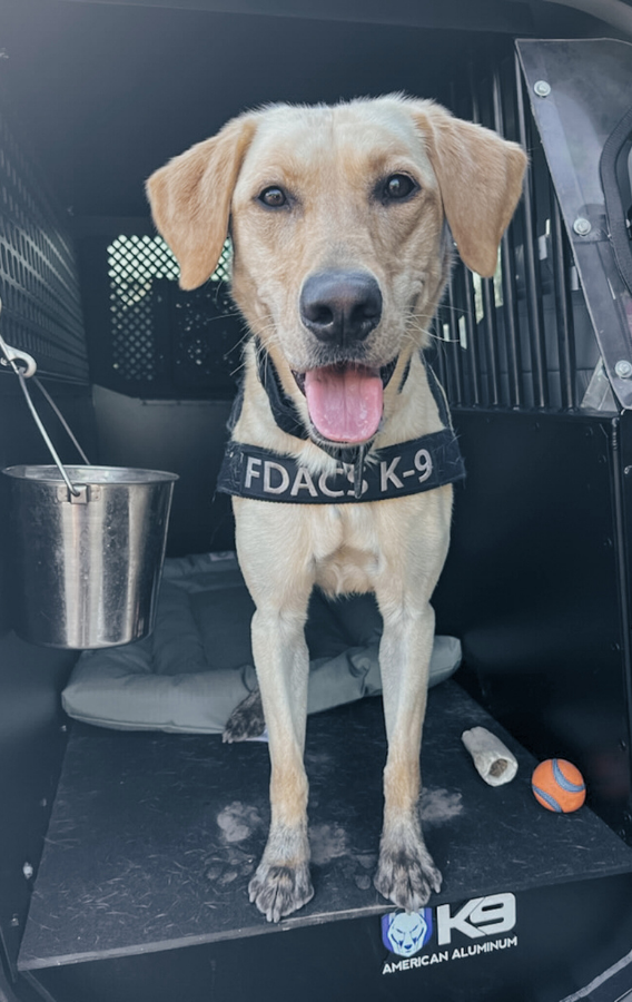 FDACS-Plant Industry tweet media