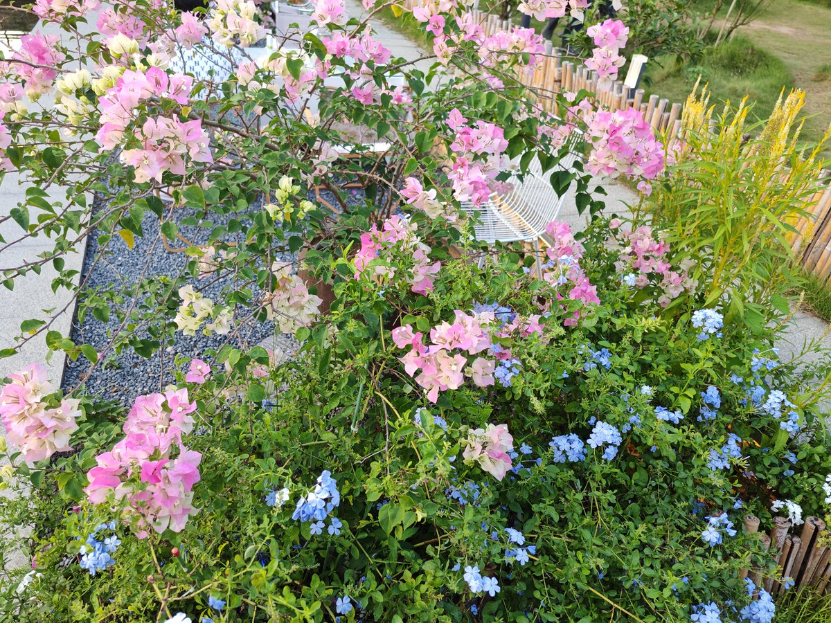 出来玩晚上不搞点黄色好像很空虚哦😑