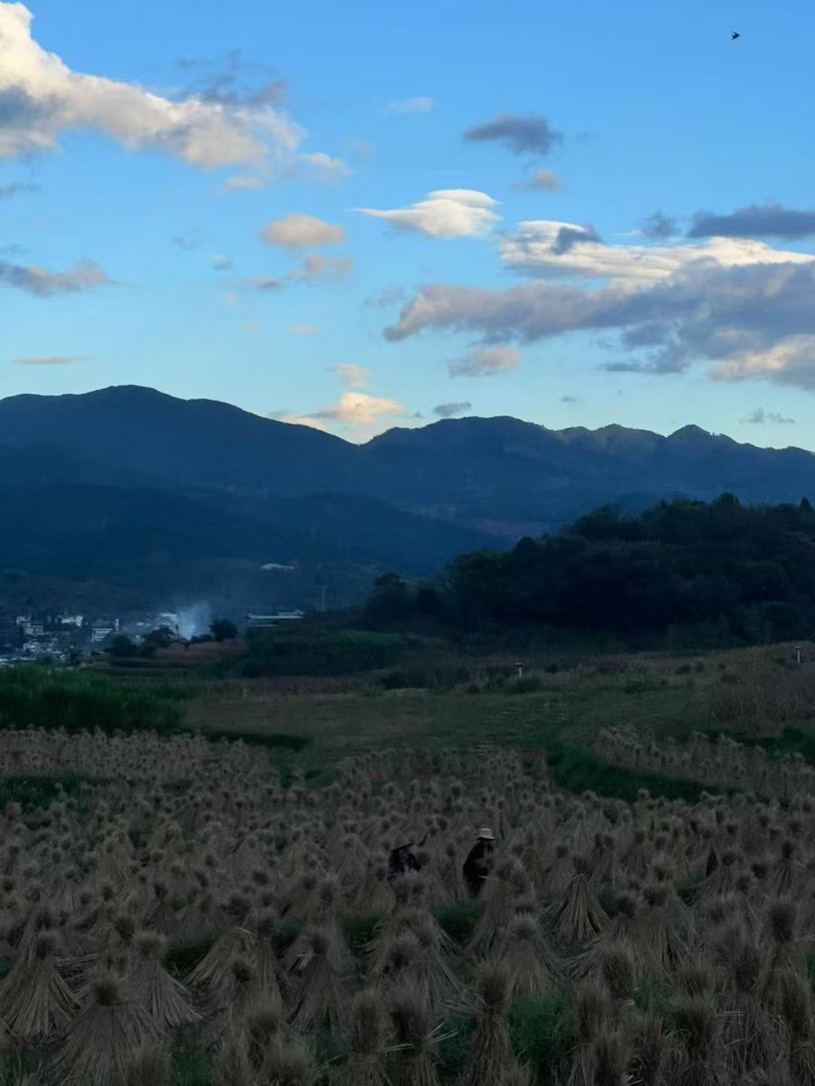 peterchow2023's tweet image. One of my friends from Yunnan Province shared these photos.