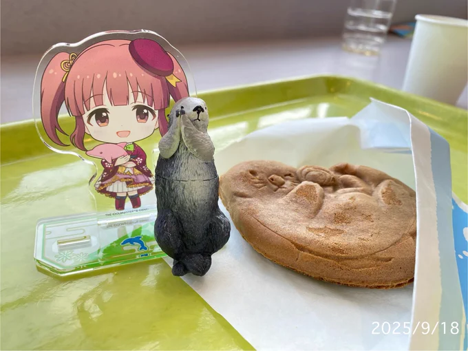 鳥羽駅からスタートだよ、智絵里。いい天気だね。 透さんと美鈴ちゃんがお仕事してるよ、智絵里。すごく海が似合う2人だね。 ラッコのメイちゃんだよ、智絵里!鳥羽水族館のアイドルだよ #イセシマスター