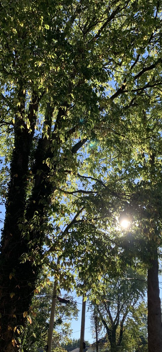 ddscottselfpub's tweet image. Kindness is strength. It takes courage to love in a world that tells you to be hard.

Just a reminder…

Let Love Glow