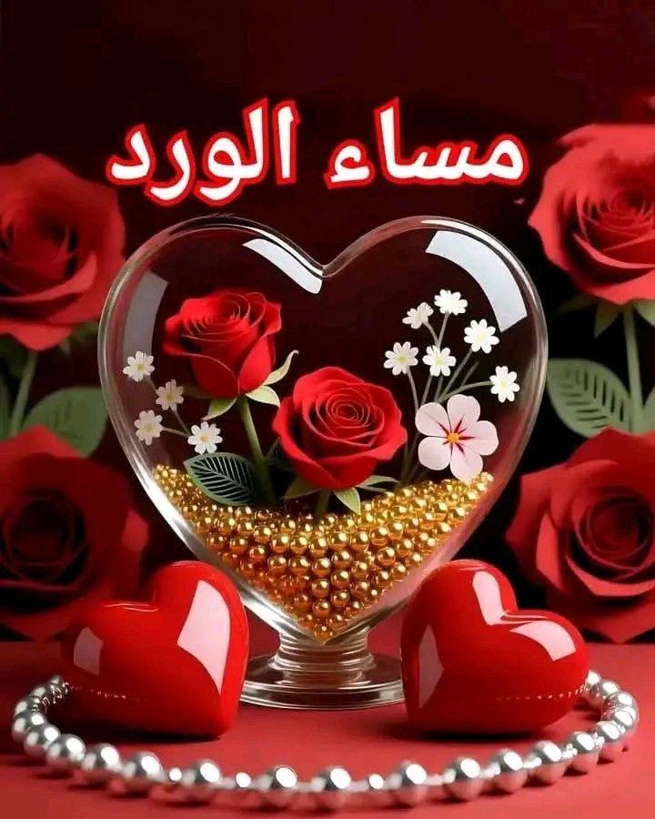تريد دعم حسابك تعليق✍ ورتويت🔄
تفاعل مع من علق وتابع يردو⤵💯💯