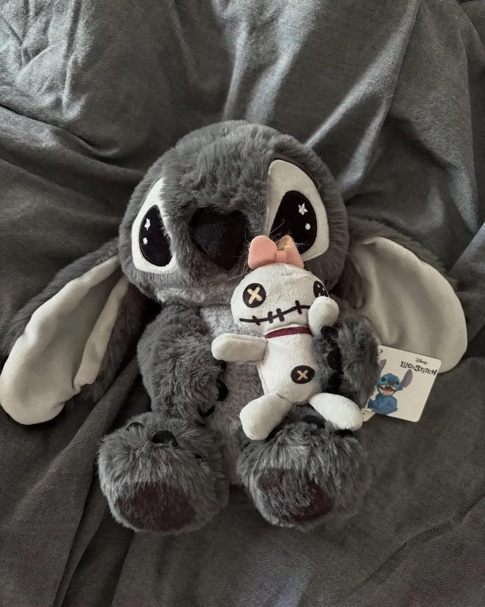 breathisn's tweet photo. aaaa pronto, agora eu preciso do ursinho do stitch assim 🥹🩶 https://t.co/rEHHLK0sI3