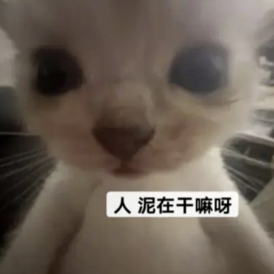 垫底辣妹 tweet media