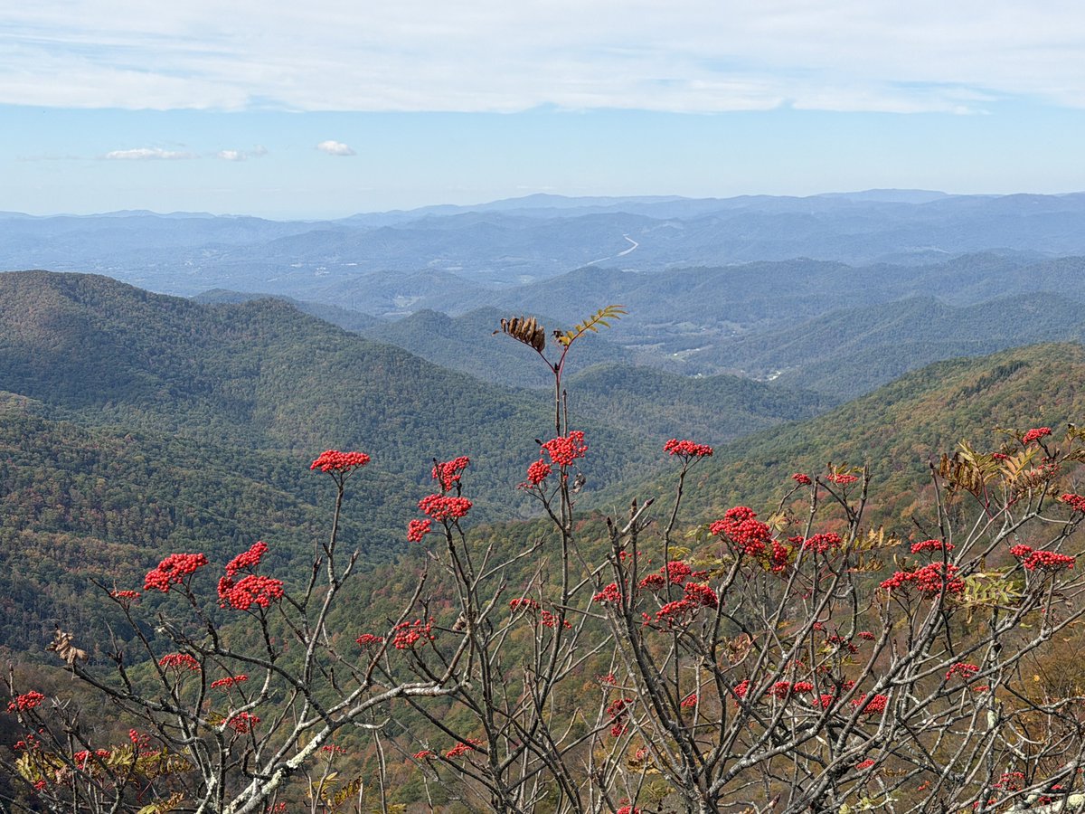 hmcmfmf's tweet photo. Enjoying the views from the Blue Ridge Parkway NC https://t.co/OYrukqh65j