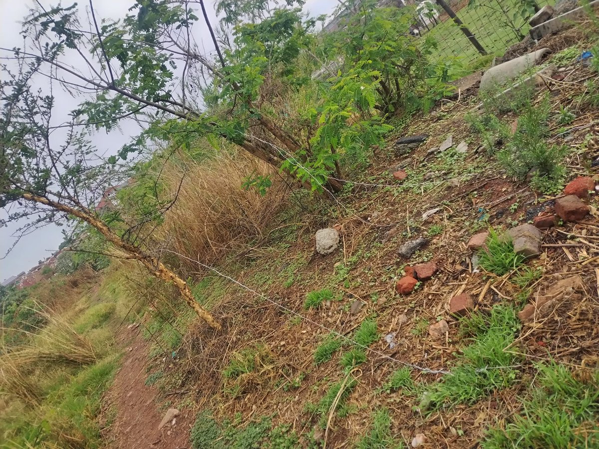 _ArriveAlive's tweet image. A man attempting to steal an electrical cable during rainy conditions suffers a fatal electric shock under a bridge on London Road over the Jukskei River.

tinyurl.com/28lb8n3d

#ArriveAlive #Electrocution @PublicSafetyMMC