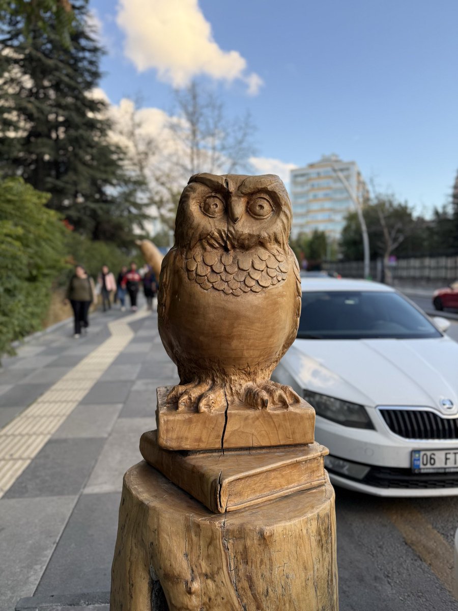 İlker Kurtel (@ilkerkurtel) on Twitter photo 