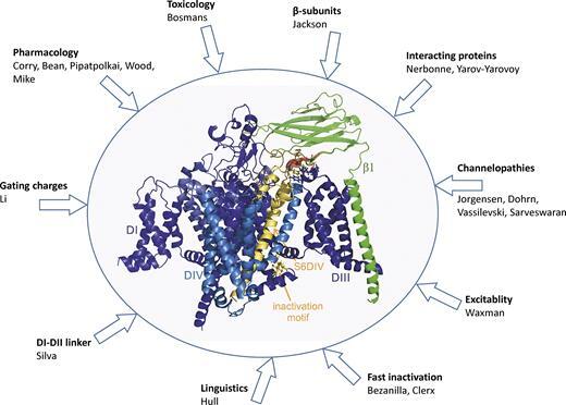 👋Channelomics.bsky.social👋 tweet media
