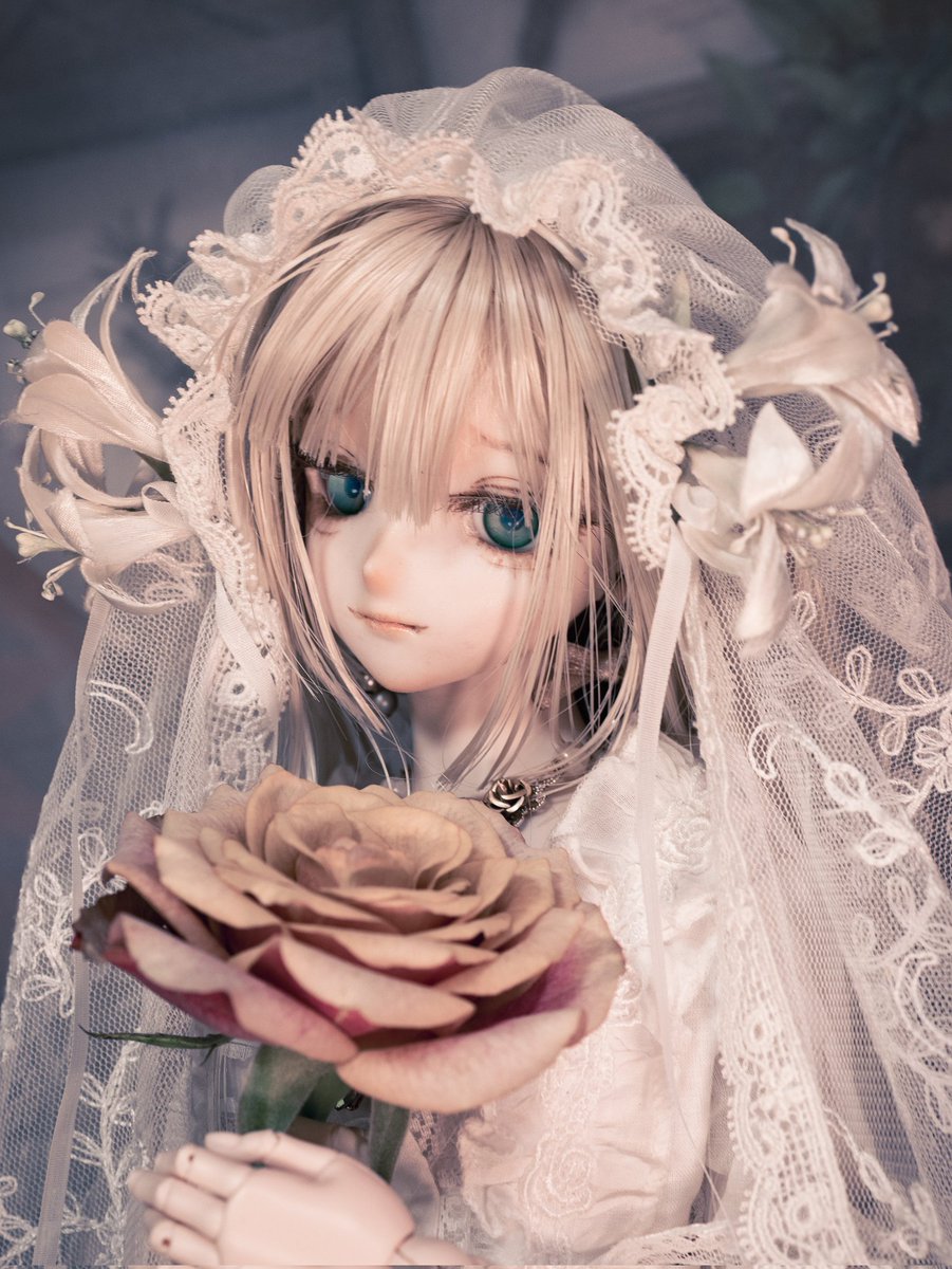 ドールと花 - Search / X