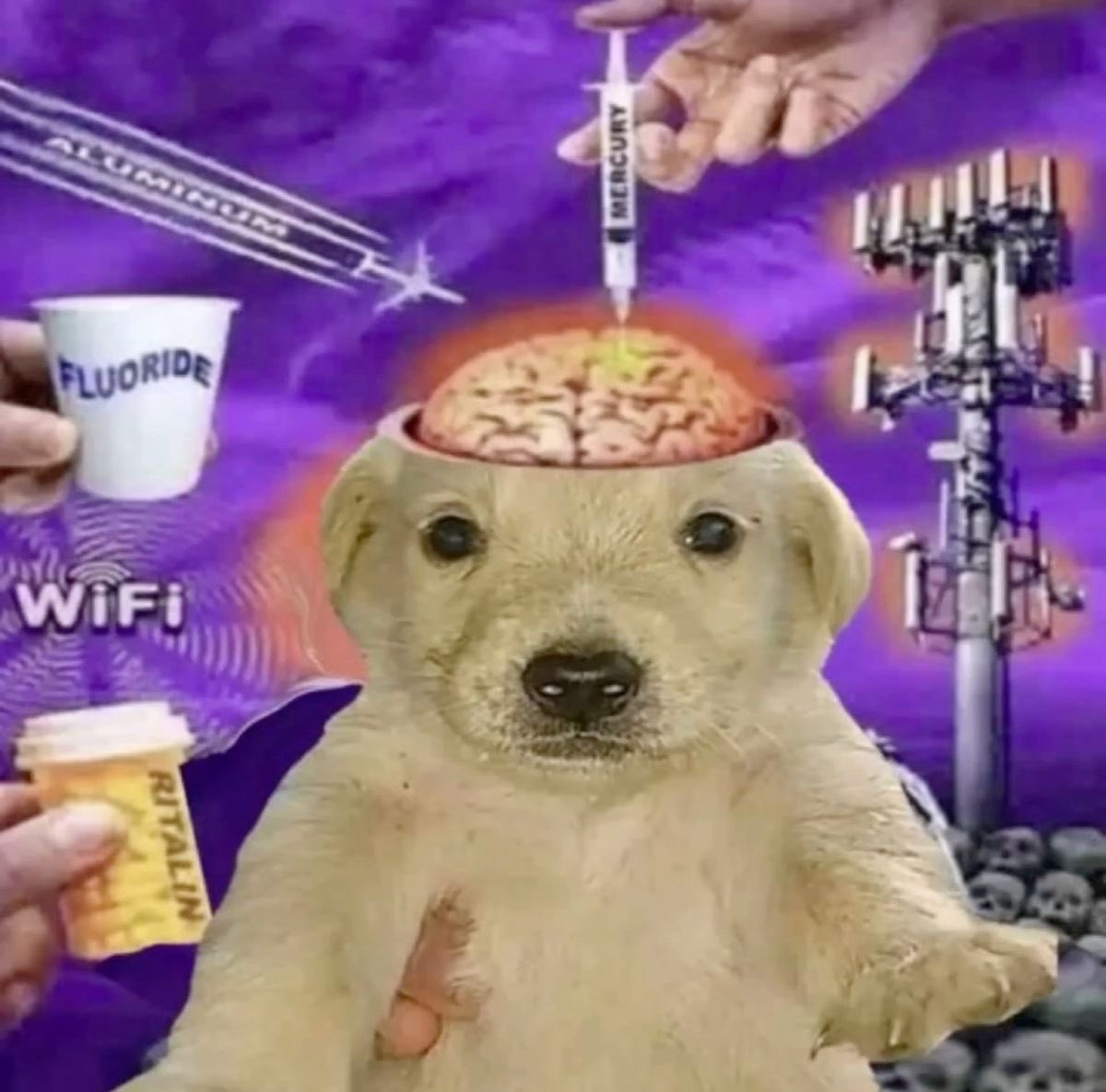 j quitte twitter pour regarder des réels sur insta puis revenir sur twitter